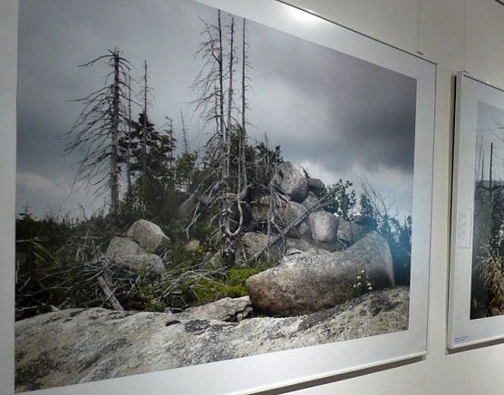 Auf mystischen Pfaden... (Foto: Karl-Heinz Herrmann)
