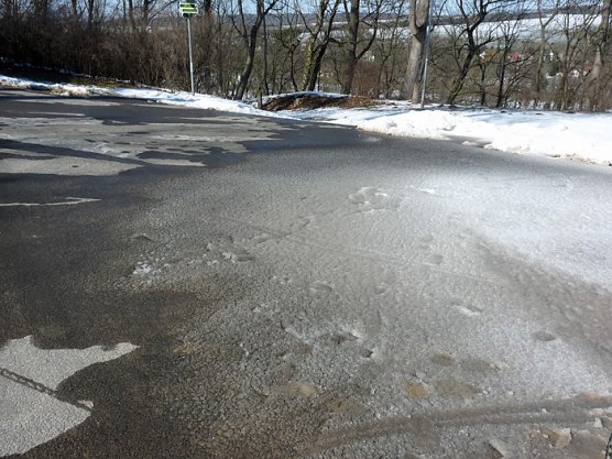 Vorsicht geboten! (Foto: Karl-Heinz Herrmann) Vorsicht geboten! (Foto: Karl-Heinz Herrmann)