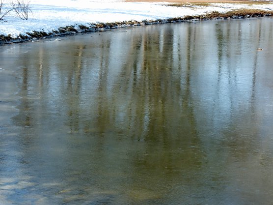 Winterimpressionen im Frühling (Foto: Privat) Winterimpressionen im Frühling (Foto: Privat)