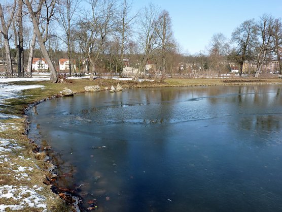 Winterimpressionen im Frühling (Foto: Privat) Winterimpressionen im Frühling (Foto: Privat)