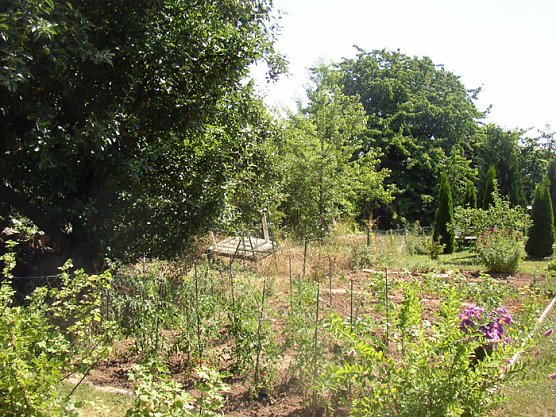 Es sind noch G&auml;rten frei (Foto: Gartensparte Zufriedenheit)