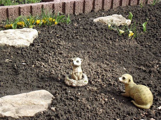 Fr&uuml;hling im Garten (Foto: Thomas Leipold)