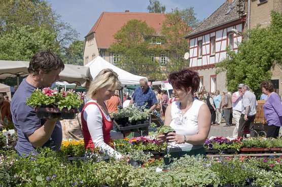 Zweite Fr&uuml;hlingswanderung (Foto: Thomas Stephan )