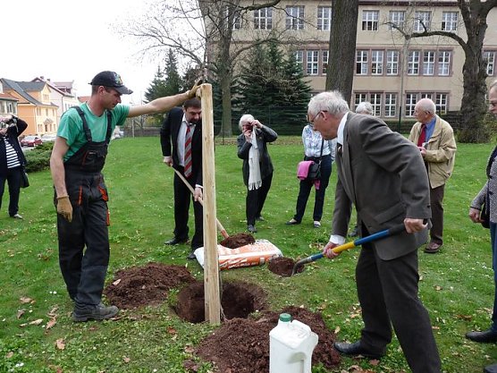 Der besondere Apfelbaum (Foto: Karl-Heinz Herrmann)