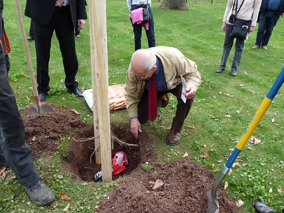 Der besondere Apfelbaum (Foto: Karl-Heinz Herrmann)