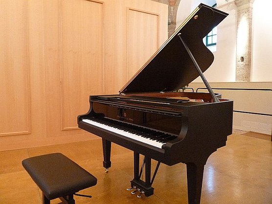 Auf neuem Flügel (Foto: Fam Kieper) Auf neuem Flügel (Foto: Fam Kieper)