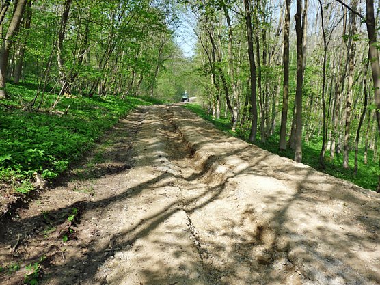 Noch Behinderungen (Foto: Karl-Heinz Herrmann)