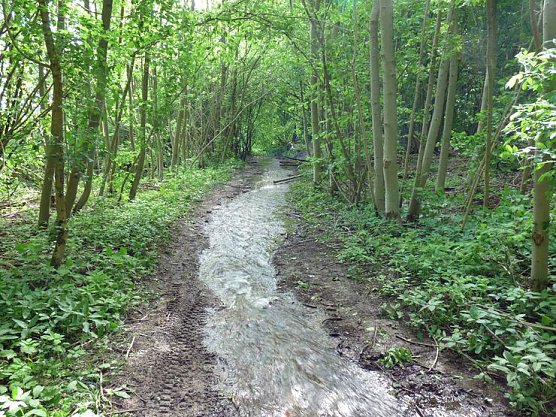 Es pl&auml;tschert das Wasser, (Foto: Karl-Heinz Herrmann)