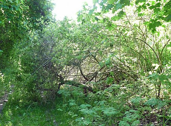 Es pl&auml;tschert das Wasser, (Foto: Karl-Heinz Herrmann)