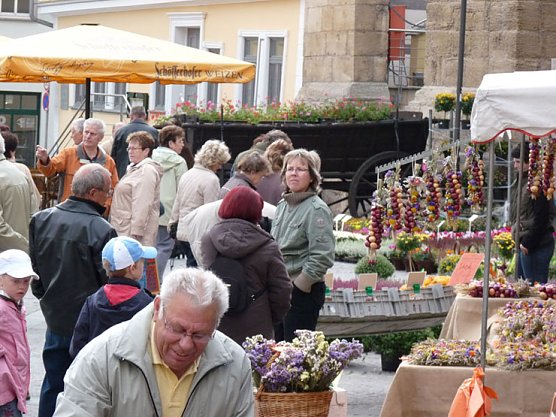 Pflanzenmarkt Sondershausen (Foto: Karl-Heinz Herrmann)