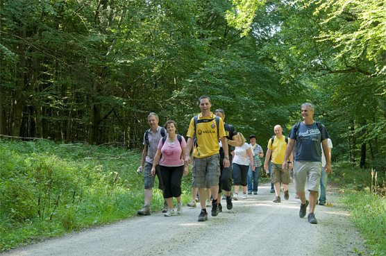 Alles Kirsche � oder was? (Foto: Thomas Stephan)