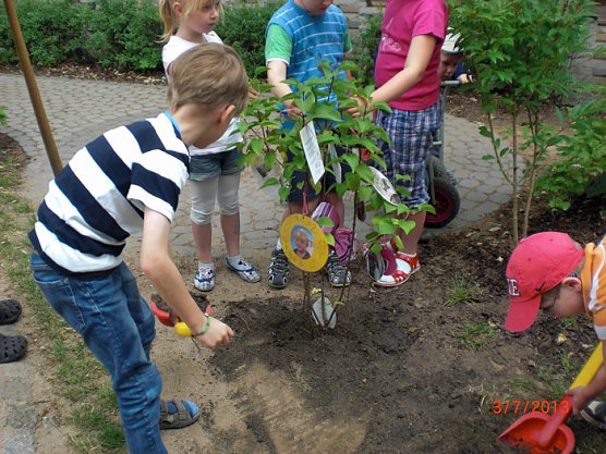Ein Bäumchen für unsere Kindervilla (Foto: Kindervilla Bad Frankenhausen) Ein Bäumchen für unsere Kindervilla (Foto: Kindervilla Bad Frankenhausen)