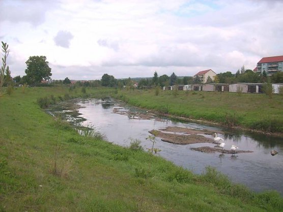 Wipper bei Sondershausen (Foto: Karl-Heinz Herrmann)