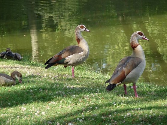 Wer ist denn das? (Foto: Karl-Heinz Herrmann)