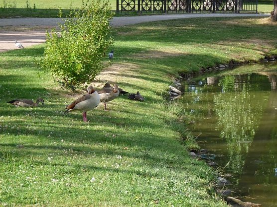 Wer ist denn das? (Foto: Karl-Heinz Herrmann)