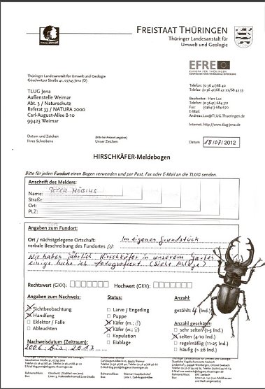 Hirschkäfer gefunden (Foto: Peter Möbius) Hirschkäfer gefunden (Foto: Peter Möbius)