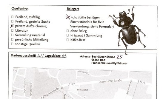 Hirschkäfer gefunden (Foto: Peter Möbius) Hirschkäfer gefunden (Foto: Peter Möbius)