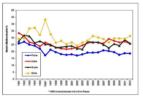 Waldschadenserhebung  (Foto: Hans-J&uuml;rgen Schmidt)