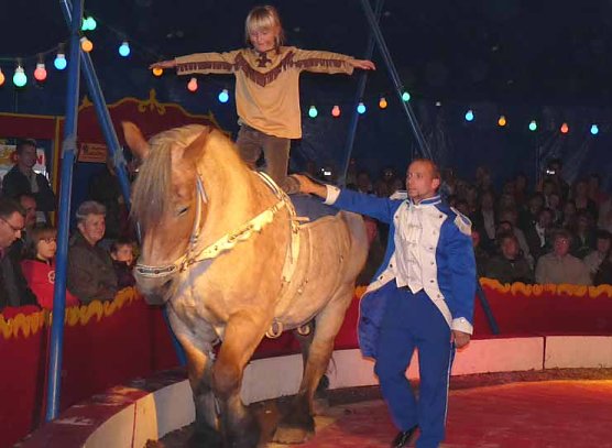 Projekt Zikus (Foto: Karl-Heinz Herrmann)