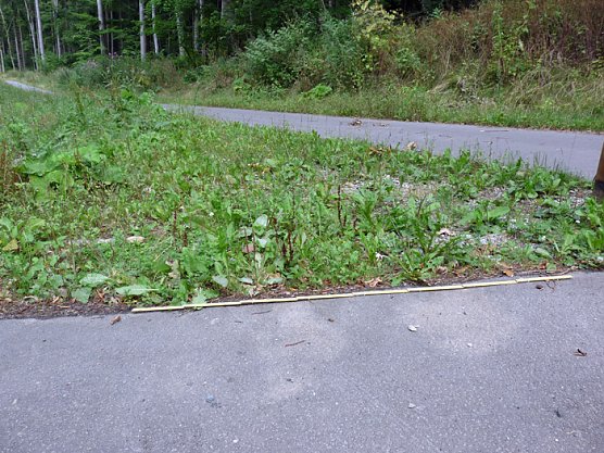 Festung Radweg (Foto: Karl-Heinz Herrmann) Festung Radweg (Foto: Karl-Heinz Herrmann)