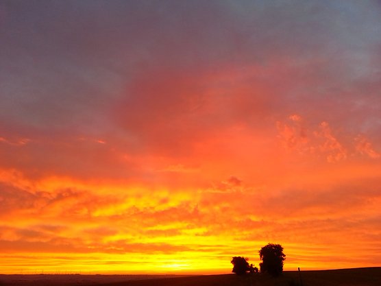 Leserfoto (Foto: Eva Respondek)