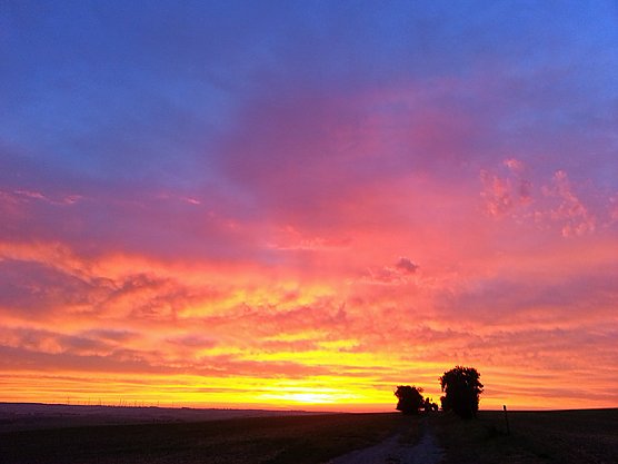 Leserfoto (Foto: Eva Respondek)