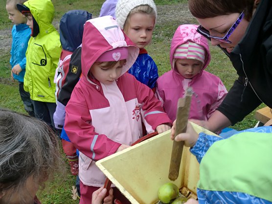 Motto Streuobstwiese (Foto: Kita Abenteuerland) Motto Streuobstwiese (Foto: Kita Abenteuerland)