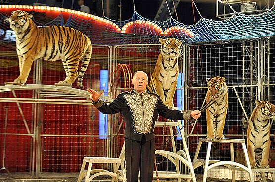 Der Zirkus kommt! (Foto: Zirkus Probst)