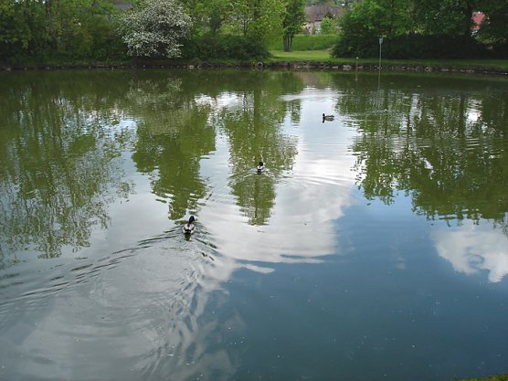 Gro&szlig;er Parkteich Sondershausen (Foto: Karl-Heinz Herrmann)