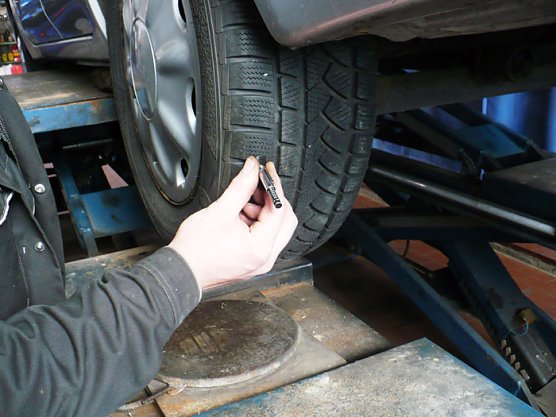 Reifewnpflege (Foto: Hans-J&uuml;rgen Schmidt)