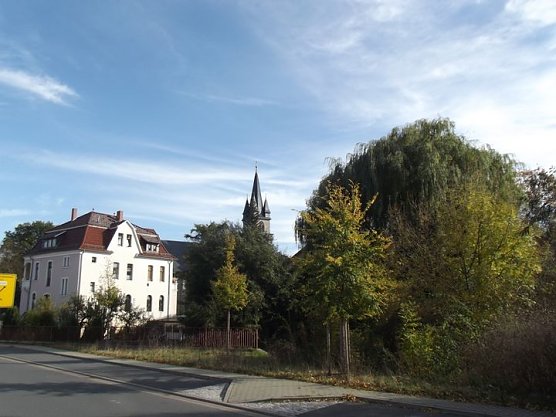 Goldener Herbst und buntes Laub (Foto: Thomas Leipold)
