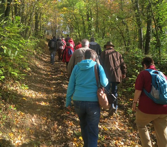 Durch die hohe Schrecke (Foto: Hohe Schrecke)