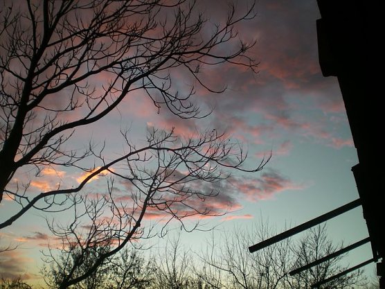 Artern im Herbst (Foto: Klaus Henze) Artern im Herbst (Foto: Klaus Henze)