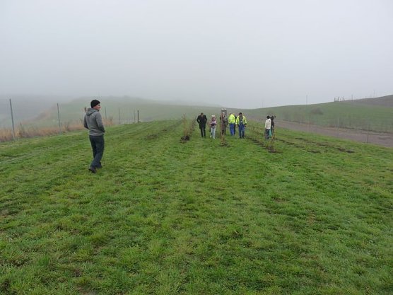 Begr&uuml;nung der R&uuml;ckstandshalde (Foto: Karl-Heinz Herrmann)