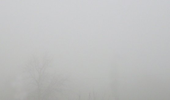 Brenntage im Herbst (Foto: Karl-Heinz Herrmann)