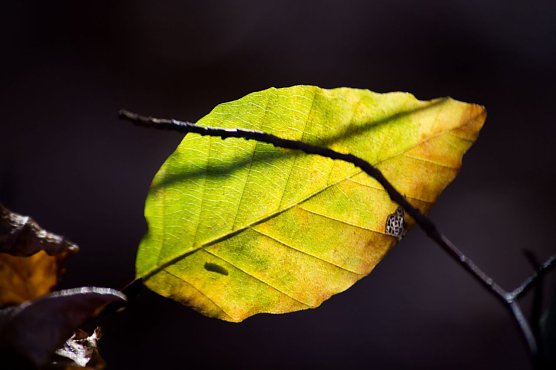 Wetter-Bild (Foto: G. Thelemann)