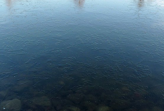 Eisglatt war es! (Foto: Karl-Heinz Herrmann) Eisglatt war es! (Foto: Karl-Heinz Herrmann)