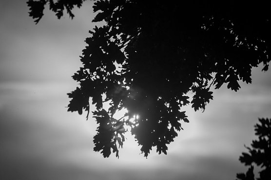 Wetter-Bild (Foto: Gernot Thelemann)