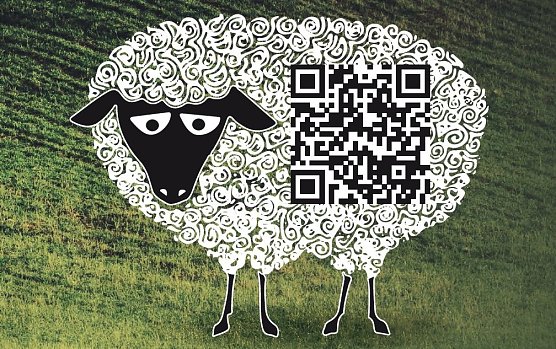 Schaf mit QR-Code (Foto: Theater)