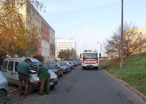 Schaf im &Ouml;stertal eingefangen (Foto: Karl-Heinz Herrmann)