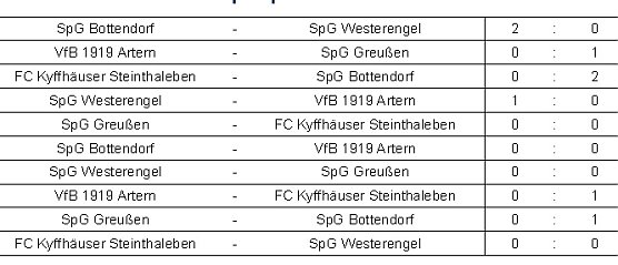 Vorrunde bei G-Junioren (Foto: Nordth&uuml;ringer Fu&szlig;ballverband)