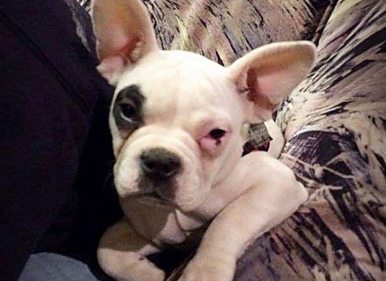 Lotta (Foto: Sandra Witzel)