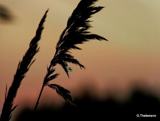 Wetter-Bild (Foto: Gernot Thelemann) Wetter-Bild (Foto: Gernot Thelemann)