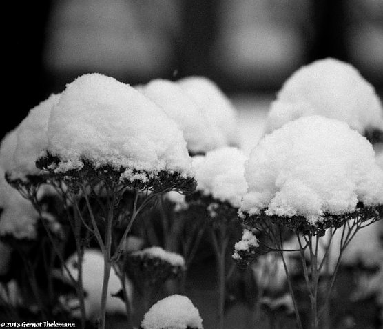 Wunsch oder Realität? (Foto: Gernot Thelemann) Wunsch oder Realität? (Foto: Gernot Thelemann)