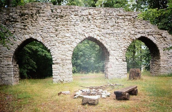 Mittelalterliche Ruine der Arensburg bei Seega (Foto: Archiv Rasemann)