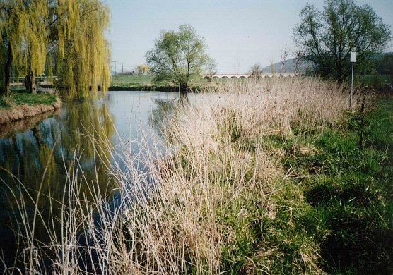 An dieser Stelle bei Sachsenburg m&uuml;ndet die Wipper in die Unstrut (Foto: Archiv Rasemann)