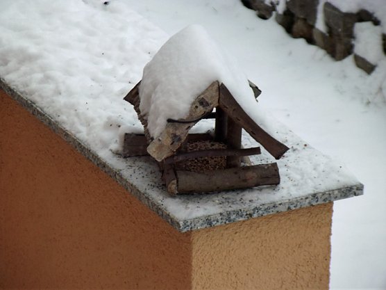 Im Winter unsere heimischen V&ouml;gel.. (Foto: Thomas Leipold)