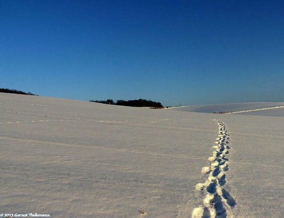 Wetter-Bild (Foto: Gernot Thelemann)