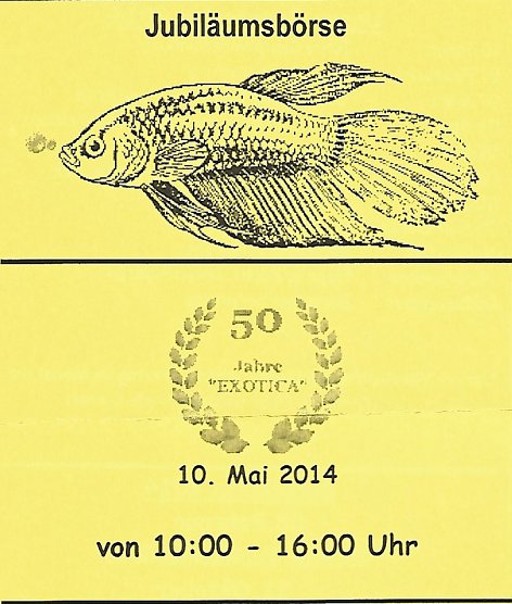 Zierfischbörse und Terrarienbörse... (Foto: Karl-Heinz Herrmann) Zierfischbörse und Terrarienbörse... (Foto: Karl-Heinz Herrmann)