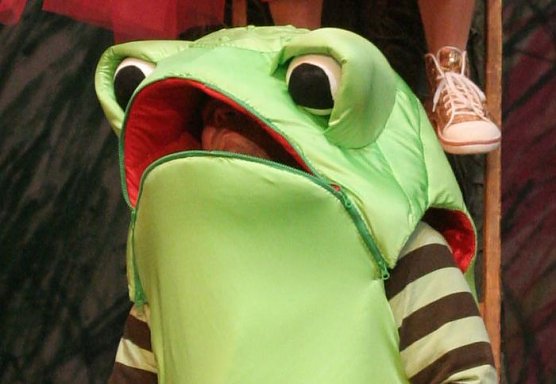 Vorstellungen gerettet (Foto: Peter Scholz)